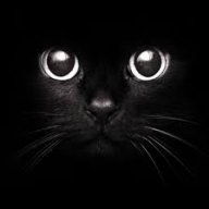 Kaboom